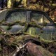 images_chatillon-car-graveyard-142