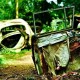 images_chatillon-car-graveyard-92