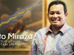 The Captain - Tato Miraza