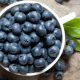 blueberry-buah-paling-sehat-di-dunia