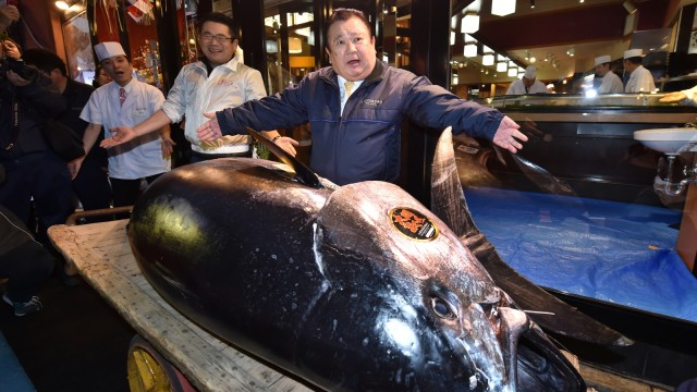 ikan tuna termahal di dunia