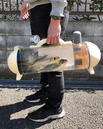 Tas Ikan Portable Akan Dirilis Di Jepang - 103.8 FM Brava Radio