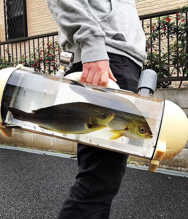 Tas Ikan Portable Akan Dirilis Di Jepang 