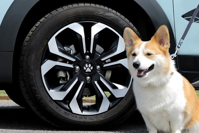 Honda Rilis Aksesoris Bagi Pecinta Anjing Bernama 