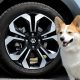 Honda Rilis Aksesoris Bagi Pecinta Anjing Bernama “Honda Dog”