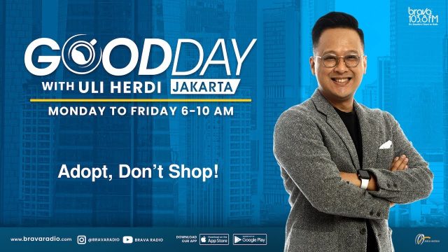 Good Day: Adop, Don't Shop!