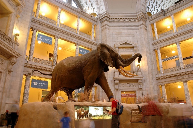 Museum Terpopuler Di Dunia Ini Tawarkan Tur Virtual Gratis