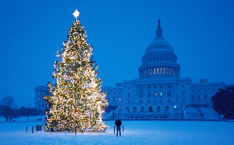 Deretan 7 Pohon Natal Termahal Di Dunia, Ada Yang Harganya Menyentuh Rp163 miliar