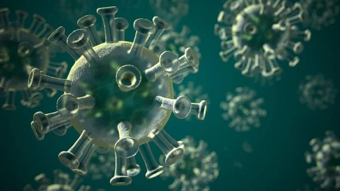 Virus NeoCov, Temuan Baru Ilmuwan China Lebih Bahaya Dibanding Covid-19