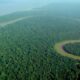 1173px-Aerial_view_of_the_Amazon_Rainforest