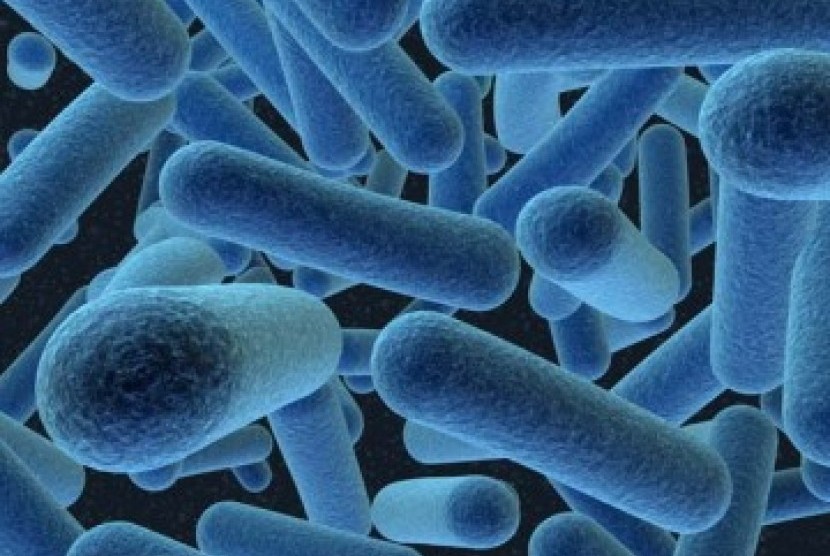 Ternyata Ada Bakteri Terbesar di Dunia yang Bisa Dilihat Kasat Mata
