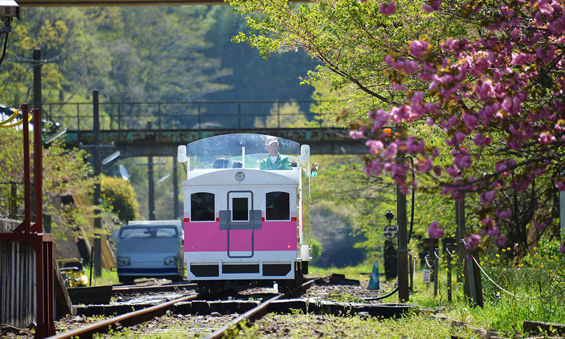 Unik! Kereta Wisata di Jepang Berbahan Bakar Kuah Ramen