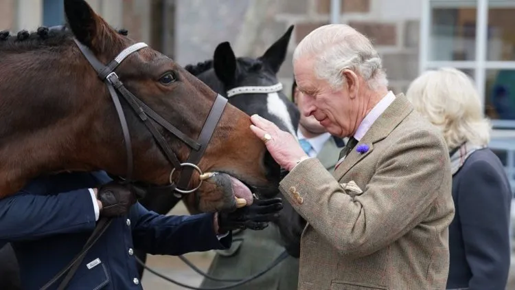 14 Kuda Pacuan Warisan Ratu Elizabeth II Akan Dijual Raja Charles III