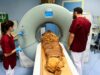 Teknologi CT Scan Ungkap Fakta Mumi Duyung di Jepang