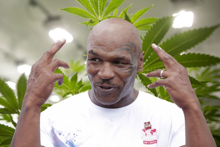 Meski Punya Bisnis Mariyuana, Mike Tyson Ungkap Ketakutan Pakai Ganja