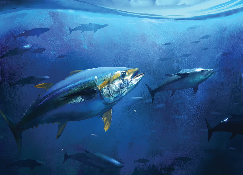 7 Ikan dengan Kandungan Merkuri Tinggi, Bahaya untuk Kesehatan
