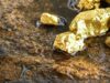 Harga Emas, Batu Bara Hingga CPO Kompak Turun