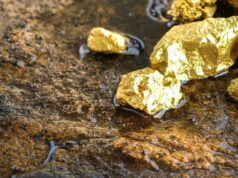 Harga Emas, Batu Bara Hingga CPO Kompak Turun