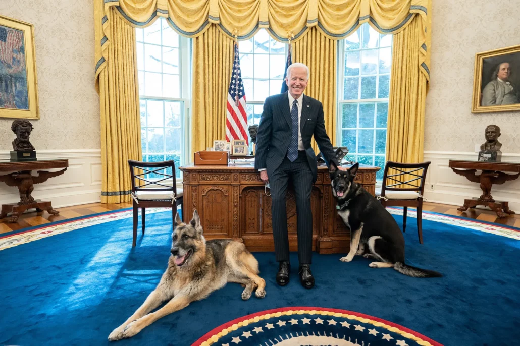 Mengenal Karakter Anjing German Shepherd Commander Joe Biden